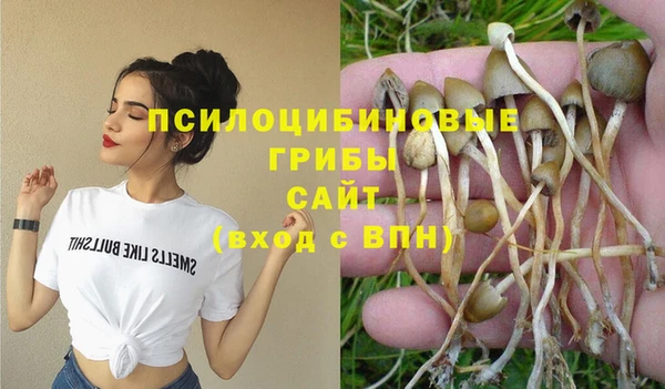 MESCALINE Новозыбков