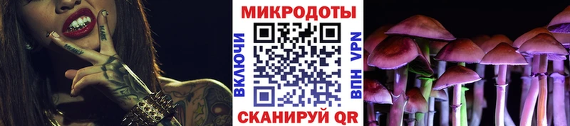 Псилоцибиновые грибы Cubensis  Красный Сулин 