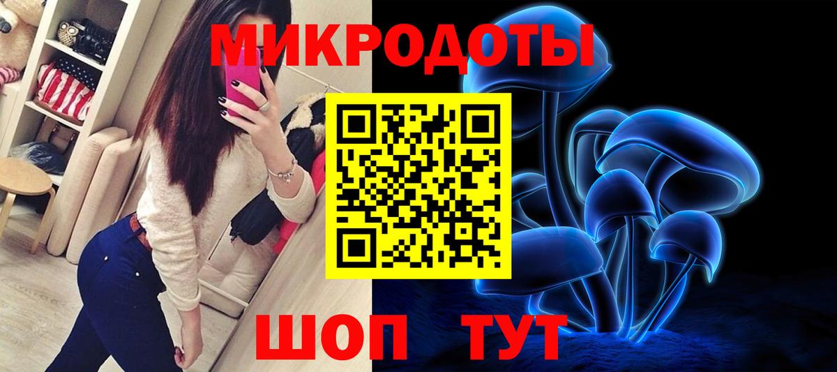 Псилоцибиновые грибы мицелий Красный Сулин